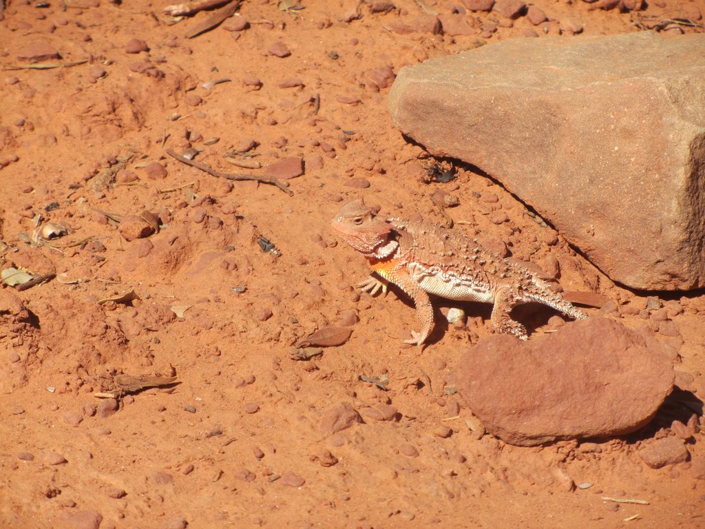 Please check out my book, Summa Totalis